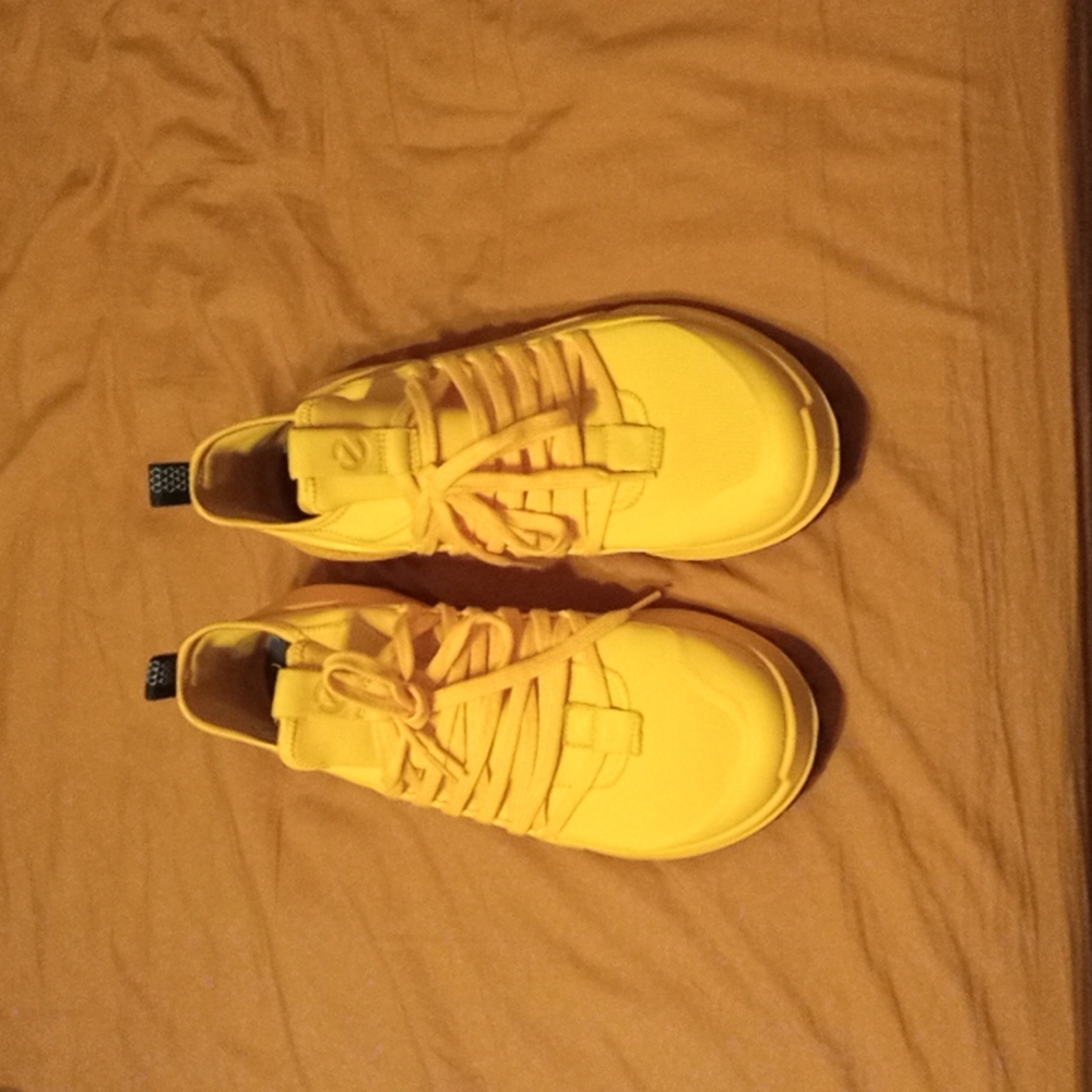 Ecco Biom 2.0 NWOT